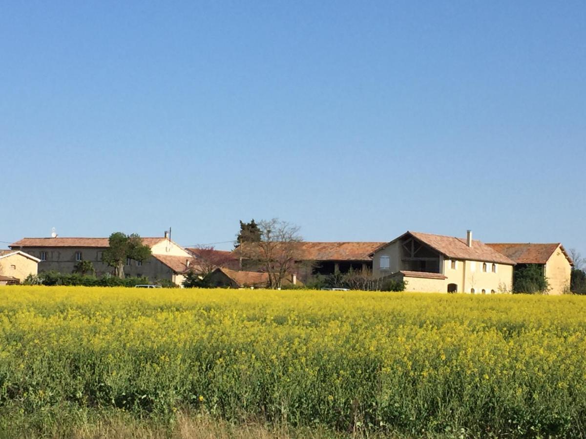 Ferme St Pierre 2 Suites Avec Repas, Piscine, Clim, Cheminee Ou Baignoire Spa Chabeuil Bagian luar foto